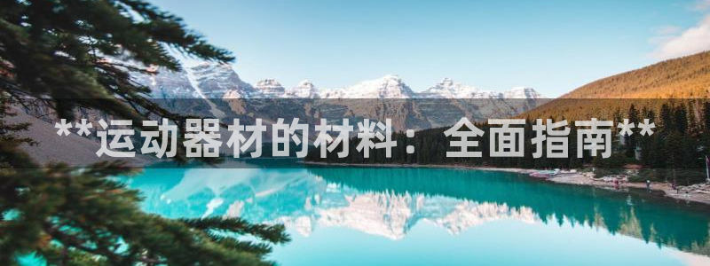 意昂3娱乐下载：**运动器材的材料：全面指南**