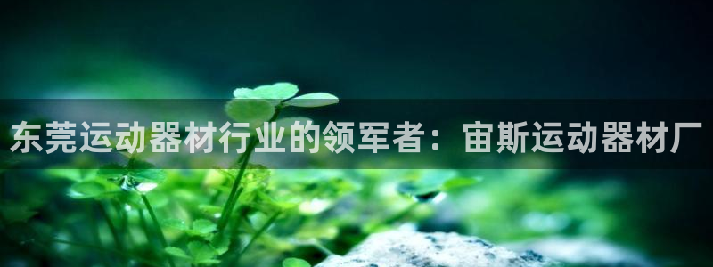 意昂体育3招商电话是多少号码：东莞运动器材行业的领军