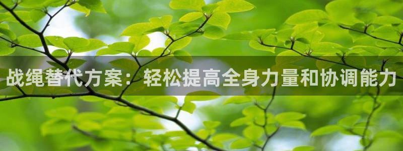 意昂体育3平台假的吗是真的吗吗：战绳替代方案：轻松提