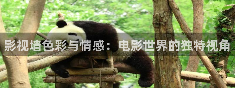 山外人精品影院：影视墙色彩与情感：电影世界的独特视角