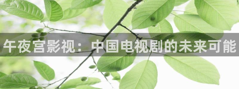 山外人精品影院在线观看：午夜宫影视：中国电视剧的未来可能