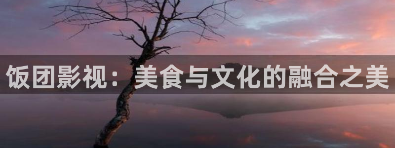 山外人精品影院 6 在线观看：饭团影视：美食与文化的融合之美