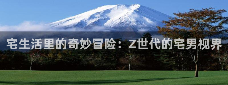 山外人精品影院在线观看：宅生活里的奇妙冒险：Z世代的宅男视界