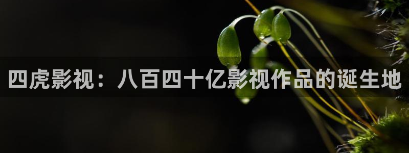 山外人精品影院在线：四虎影视：八百四十亿影视作品的诞生地