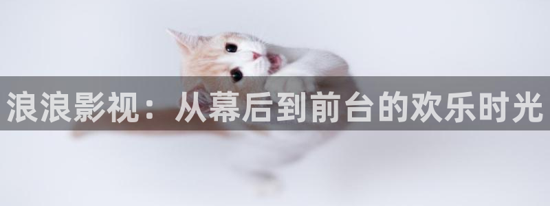 山外人精品影院洋洋av：浪浪影视：从幕后到前台的欢乐时光