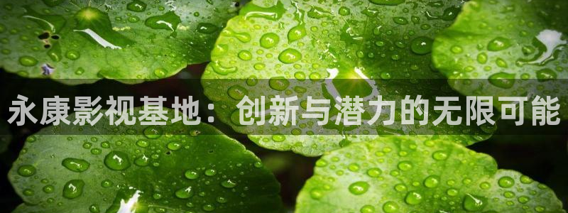 山外人精品影院在线观看：永康影视基地：创新与潜力的无限可能