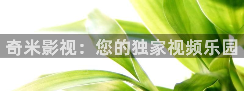 山外人精品影院在线：奇米影视：您的独家视频乐园