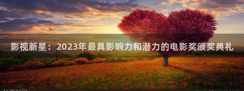 山外人精品影院 6 在线观看：影视新星：2023年最具影响力和潜力的电影奖颁奖典礼
