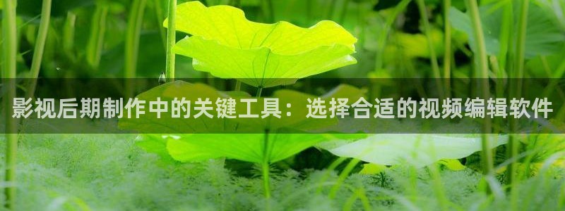 山外人精品影院洋洋av：影视后期制作中的关键工具：选择合适的视频编辑软件